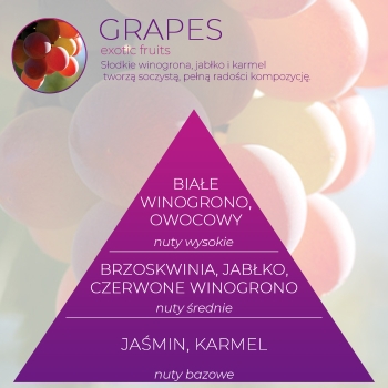 <B>GRAPES</B> wkład zapachowy do Infinity Home